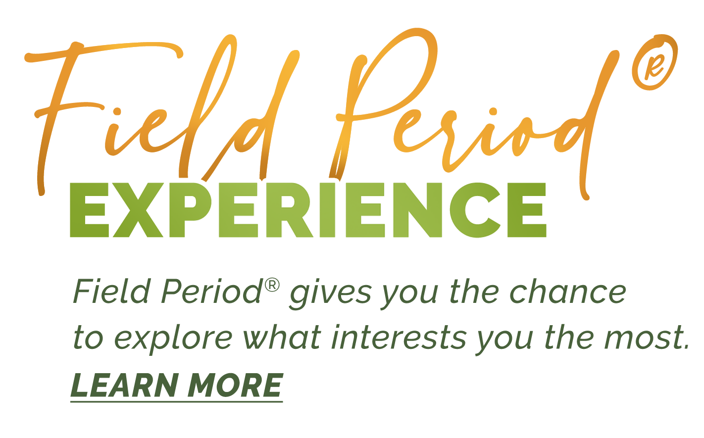 Field Period Experience: Field Period gives you the chance to explore what interests you the most. Use this link to learn more.