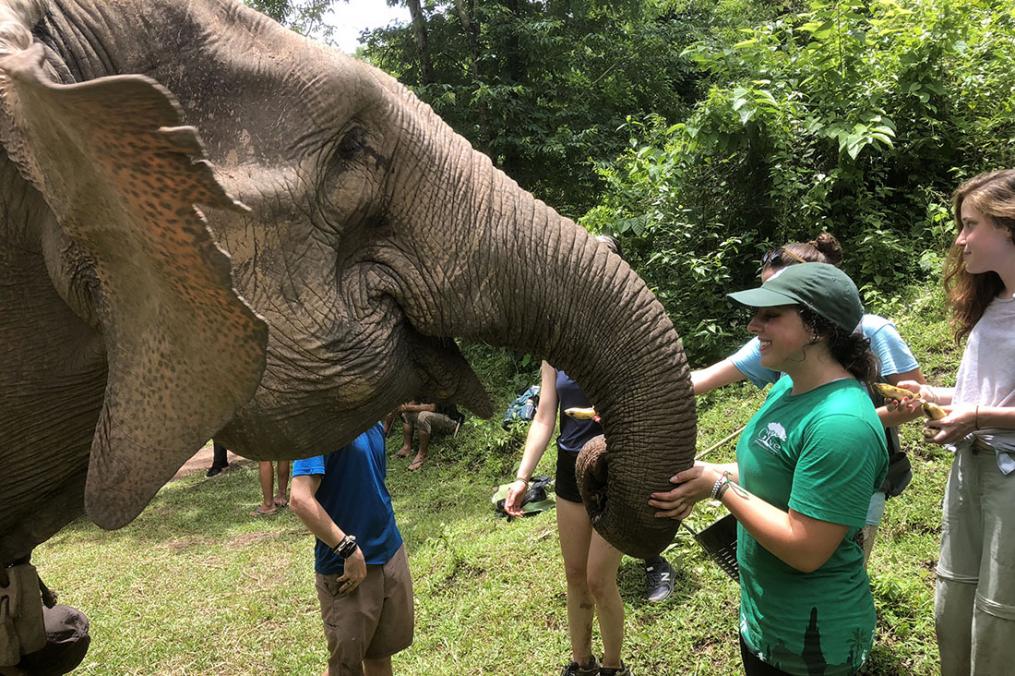 Sarah Honan '21 completed a summer Field Period® in Thailand. Her favorite part of the trip was hiking for elephants and getting to interact with them. 