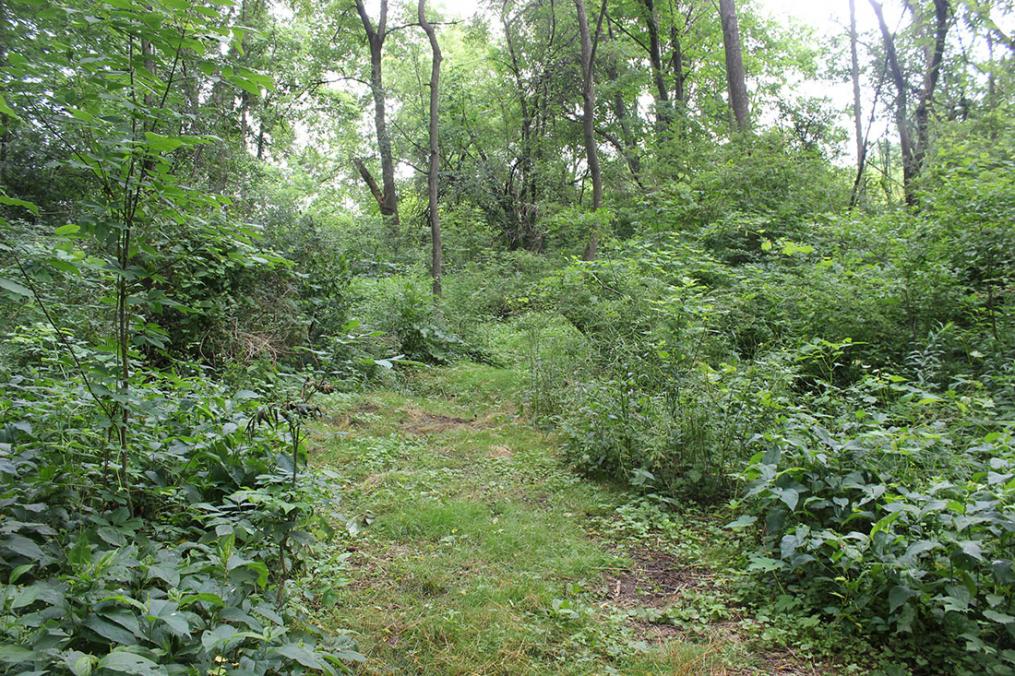 A trail senior Dan Lazzaro cleared during his Field Period® at the Yates County Community Center. The trail is part of the cross-country course Dan created for the Penn Yan Academy cross-country team.