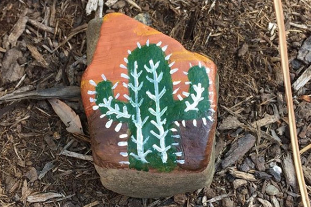 cactus painted on a rock