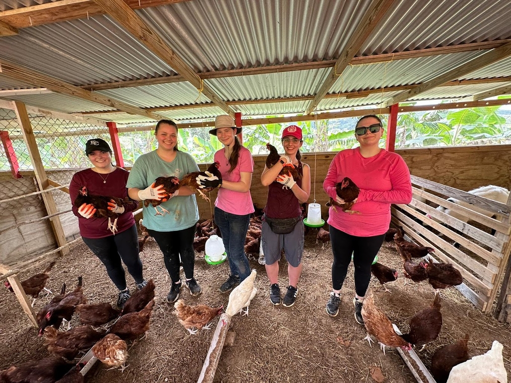 Keuka College students holding chickens at the farm.