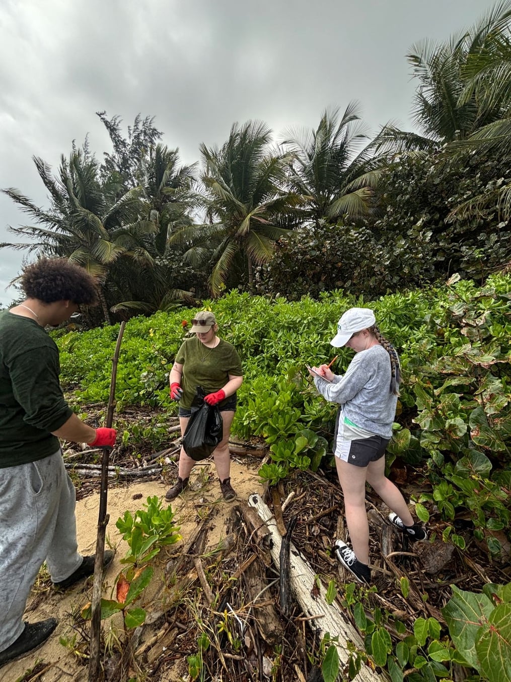 Three students wearing gloves work on a debris-covered tropical beach under an overcast sky. One person holds a large stick, another carries a trash bag, and a third writes on a clipboard while surrounded by dense green coastal vegetation and palm trees.